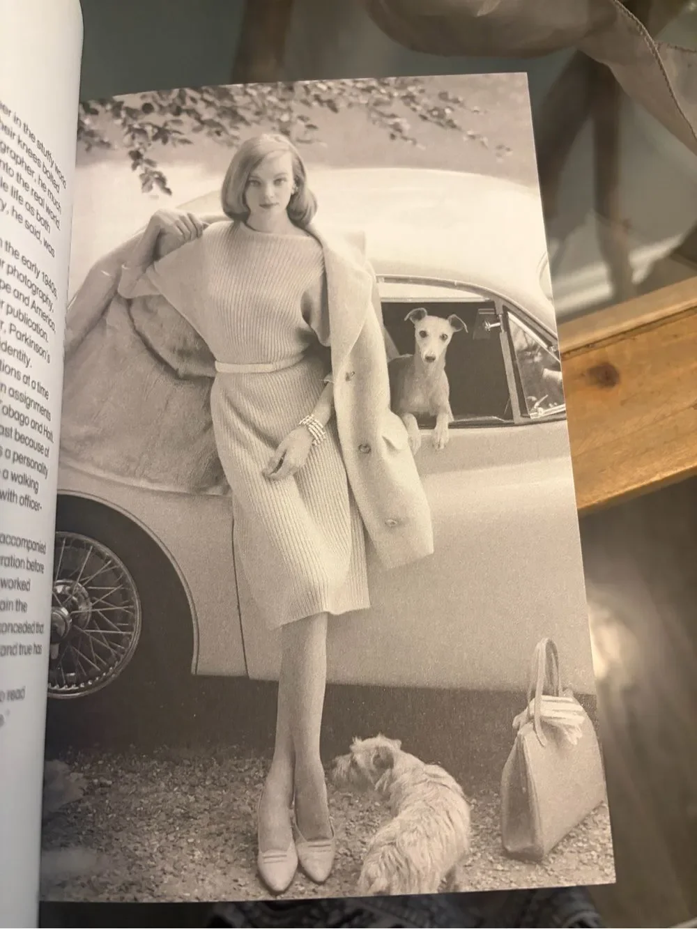 Fashion Book - FASHION EVOLUTION soft cover coffee table book.